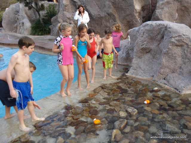Duck Races